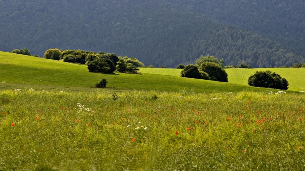Penzion Mlynarov Dvor Dubrava المظهر الخارجي الصورة